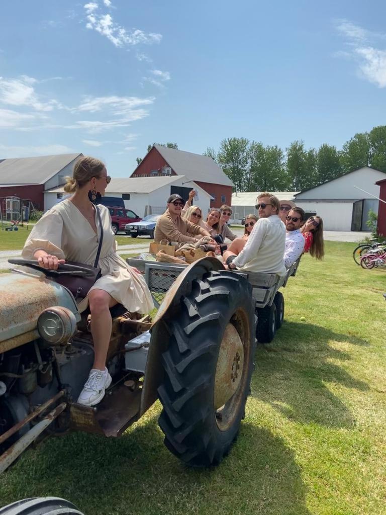 فيلا Gangvidefarm Stånga المظهر الخارجي الصورة